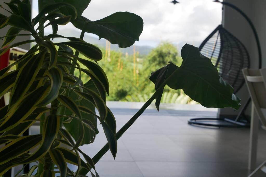 Villa Kumquat Avec Piscine Et Vue Sur Les Montagnes เปอตีต์-บูร์ก ภายนอก รูปภาพ