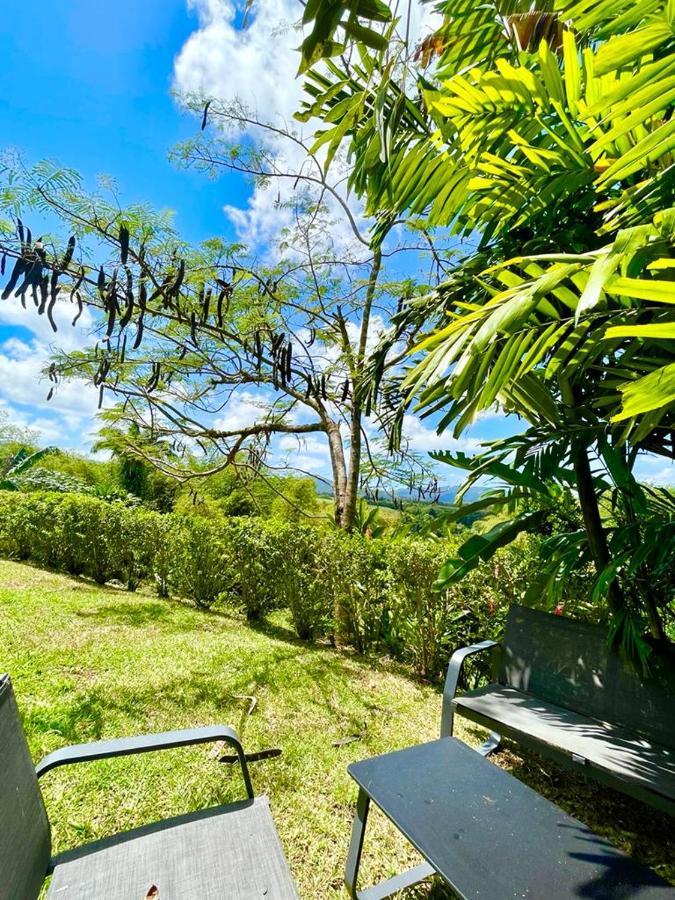 Villa Kumquat Avec Piscine Et Vue Sur Les Montagnes เปอตีต์-บูร์ก ภายนอก รูปภาพ